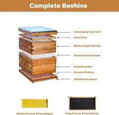 Beehive 20 Frame Complete Box Kit (10 Deep-10 Medium) Langstroth Beekeeping US