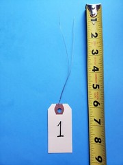 Wire Strung Manila Tags Inventory Hang Label Shipping Sizes # 1 2 3 4 5 6 Wired