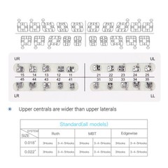 Dental Orthodontic Round Niti Arch Wires Super Elastic / Metal Brackets Braces