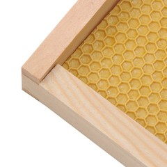 10 Frame Bee Hive With Wooden Frames & Waxed Foundations Bee Boxes Unassembled