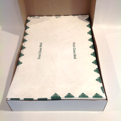 Box of 100 Survivor R1670 Tyvek USPS First Class Mailers 10″ x 15″ White NEW