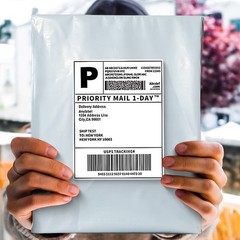 100 10X13 Poly Mailers Envelopes Self Sealing Shipping Mailers Bags POLYSELLS US