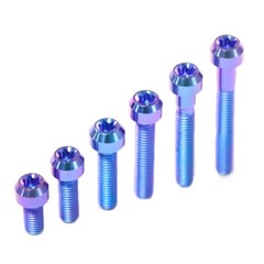 Titanium Socket Screws inner plum head Ti Bolts M4x10 15 20 25 30mm