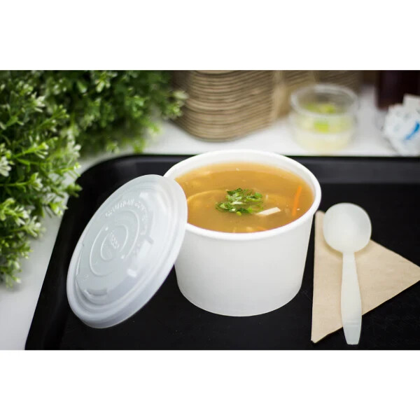 Karat Earth 16oz Eco-Friendly Paper Food Containers – White (114.6mm), KE-KDP16W
