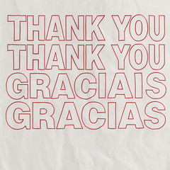 “Thank You Grocery Bags 1/6 BBL 21×6.5×11.5 – 50 to 1000 Plastic T‑Shirt Bags”