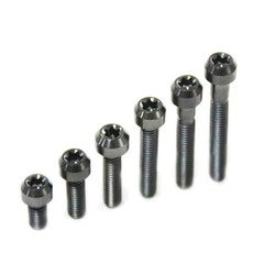 Titanium Socket Screws inner plum head Ti Bolts M4x10 15 20 25 30mm