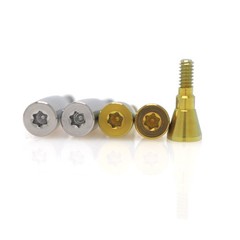 US Fit Straumann Analog Scan Body Transfer Healing Abutment Cap ITI Bone Level