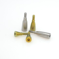 NC/RC Dental Healing Abutment Cover Screw Healing for Straumann BL/BLT ITI