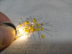 1.5mm Mini Red Yellow Blue Green White Orange Warm white Led Diodes Light Leds