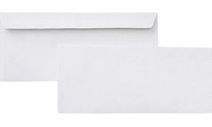 No #10 Peel and Self-Seal White Letter Mailing Envelopes Security 4-1/8 x 9-1/2