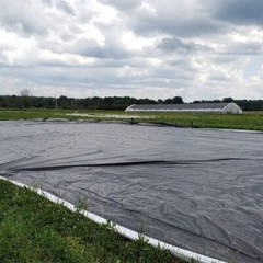 Farm Plastic Supply – Silage Tarp 8 mil Black/White Plastic Sheeting