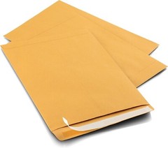 Durable 9×12 Self-Adhesive Kraft Envelopes for Business & Promotion – 100 Ct
