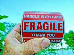 FRAGILE Handle With Care Stickers 2″ x 3″ Pack of 30 (THIRTY) Self Stick Labels