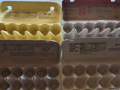 25 Clean Empty Egg Cartons 12 count Pulp Paper Cardboard for Dozen Large Eggs