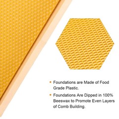 MayBee 20 Pack Honey Bee Frames with 100% Beeswax Coated Food Grade Foundation