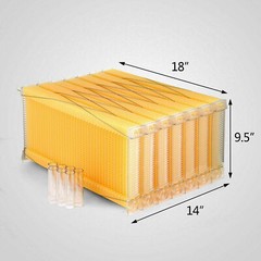7 x Beekeeping Frames Bee Hive Frame for Auto Shed Beehive House Honey Boxes US