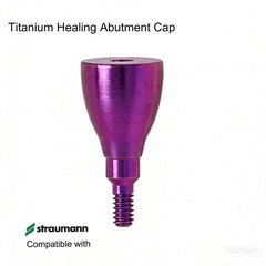 20Pcs US Dental Healing Abutment Closure Screw Fit Straumann B0ne Level NC/RC Ti