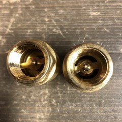 PROLINE BRS SPRING CHECK VALVE 3/4FIP 200 PSI (2-Pack)