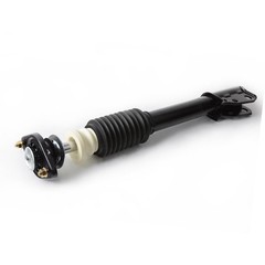 Rear Side Complete Strut Spring Assembly 171799 1985-1999