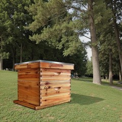 10 Frame Medium Super Bee Hive Box, Langstroth Honey Bee Hive Dipped in 100% Bee
