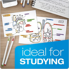 Index Cards 3×5 Blank White Notecards 500 Ct Flashcards School Study Bulk