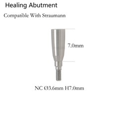 US Dental Healing Abutment Closure Compatible With Straumann ITI BoneLevel NC/RC