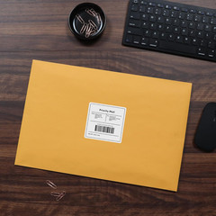 Clasp Envelopes, Brown Kraft, 10 X 15 Inches, Box of 100 (37898)