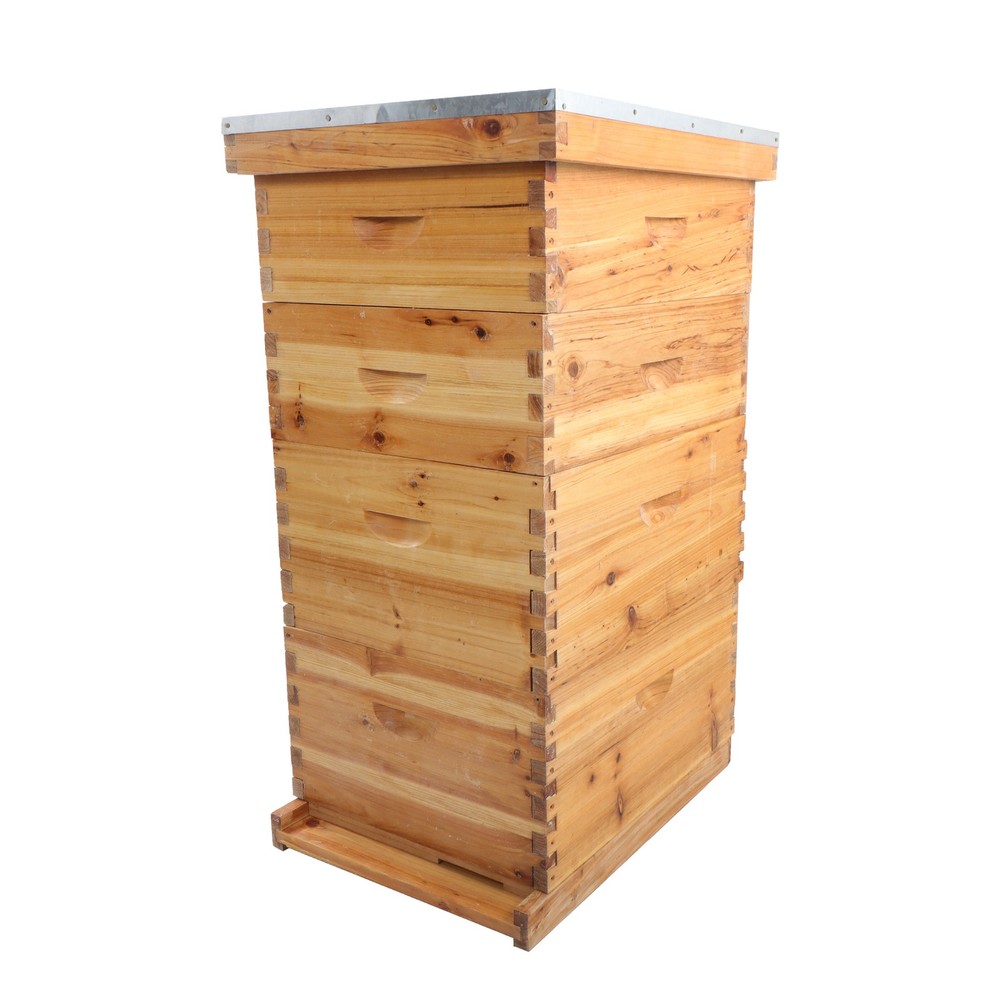 4 Layer 10 Frame Bee Hive Beeswax Coated Includes Beehive Frames and Foundations