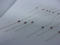 20 Pcs Pack Lot Silicon Planar Zener Diodes 1/2W 0.5W DO-35 Package DIP – 6V2