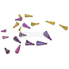 Dental Healing Cap Abutments NC/RC Cover Screw Titanium Fit Straumann ITI BLT