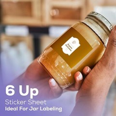 4″ x 3-1/3″ Address Shipping Labels Self Adhesive for Laser Inkjet Printer 6 UP