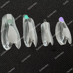 Clear Matrix Dental Anterior Posterior Transparent BT Matrices Fit BioClear