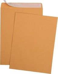 Durable 9×12 Self-Adhesive Kraft Envelopes for Business & Promotion – 100 Ct