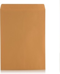 Durable 9×12 Self-Adhesive Kraft Envelopes for Business & Promotion – 100 Ct