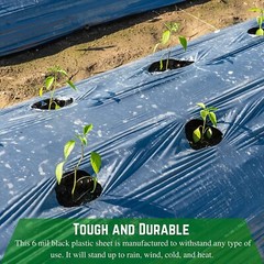 Poly Cover – 6 Mil Black Plastic Sheeting