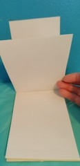 30,000 Blank 4 x 6 Direct Thermal Fanfold Peel & Stick UPS Shipping Labels Bulk