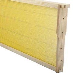 20 Langstroth Beehive Frames Wax Foundations Assembled Wooden Bee Hive Frames