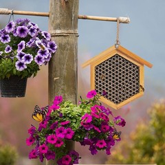 Mason Bee House Nesting Paper Cardboard Tubes Refill Inserts Beekeepers 120PK