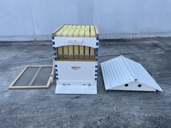 2026 White Wooden Auto Bee Hives Cedarwood + 7PCS Beekeeping Honey Hive Frames