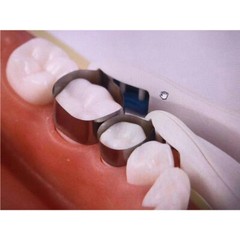10/20/30Pcs Dental Endodontic Pro Matrix Bands Curved&Standard For Formed Adjust