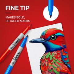 Permanent Markers, Fine Point, Black, 12 Count