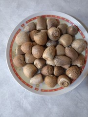 Natural Dry Areca Nut | Sun Dried | Chemical Free | From Sri Lanka