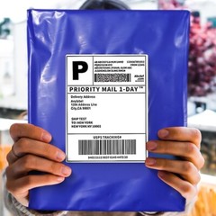 1000 10×13 Poly Mailers Envelopes Self Sealing Shipping Mailer Purple POLYSELLS