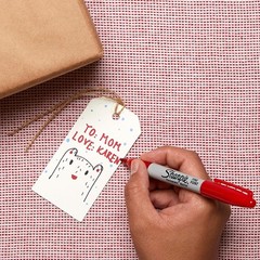 Permanent Markers, Fine Tip, Red, 36 Count – Marks on Paper, Plastic, Metal,