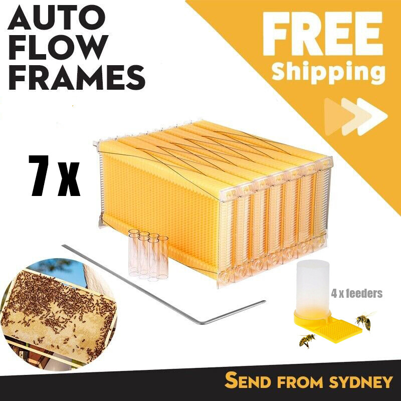 7 x Beekeeping Frames Bee Hive Frame for Auto Shed Beehive House Honey Boxes US