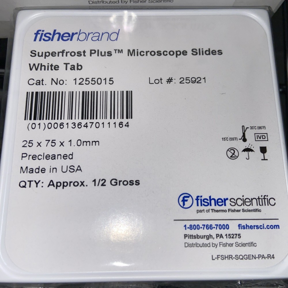 Fisherbrand Superfrost Plus Microscope Slides 10/gross case