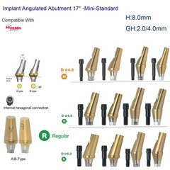 US Hiossen ET Dental Prosthetics Titanium All Implant Abutments fit Mini/Regular
