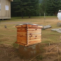 10 Frame Deep Brood Box, Langstroth Beehive Box Dipped in 100% Beeswax, Bee H…