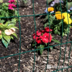 16 Gauge Green Vinyl Coated Welded Wire Mesh Size 2 inch X 3 inch