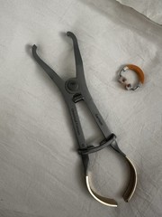 Garrison UNVF-100 Universal Forceps with Universal Matrix Band Dentistry